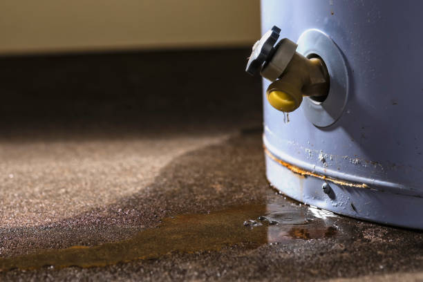 Best Emergency water extraction  in Hilltop, MN