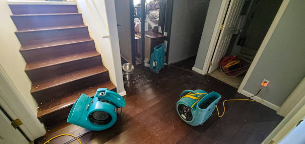 Best Professional water damage repair  in Hilltop, MN
