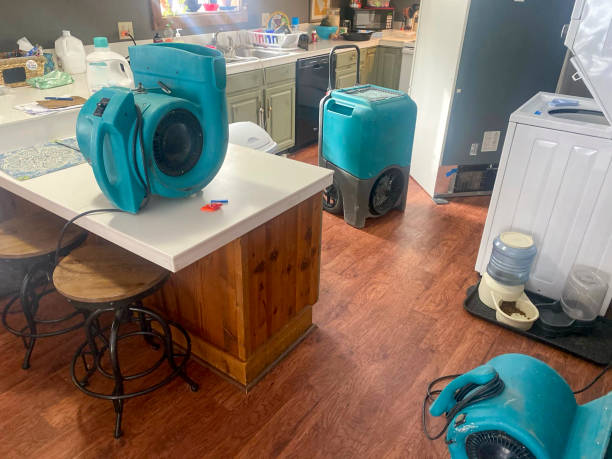 Best Water damage restoration experts  in Hilltop, MN