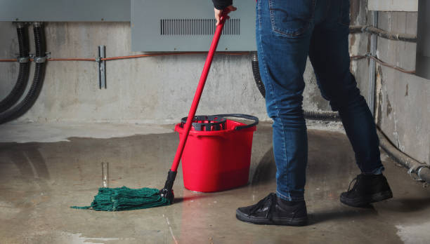 Best Flood damage cleanup  in Hilltop, MN