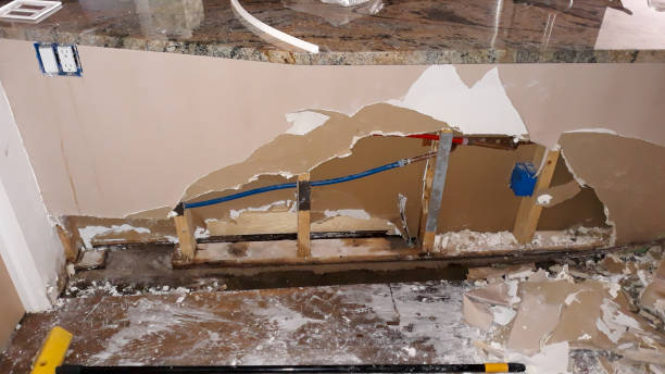 Best Water damage cleanup near me  in Hilltop, MN