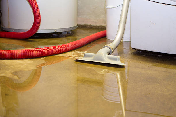 Best Emergency water damage restoration  in Hilltop, MN