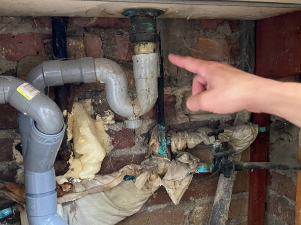 Best Sewage cleanup and water damage restoration  in Hilltop, MN