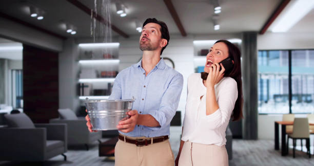 Best Water damage contractors near me  in Hilltop, MN