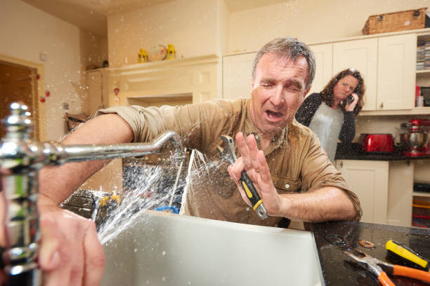 Best Fire Damage Restoration  in Hilltop, MN